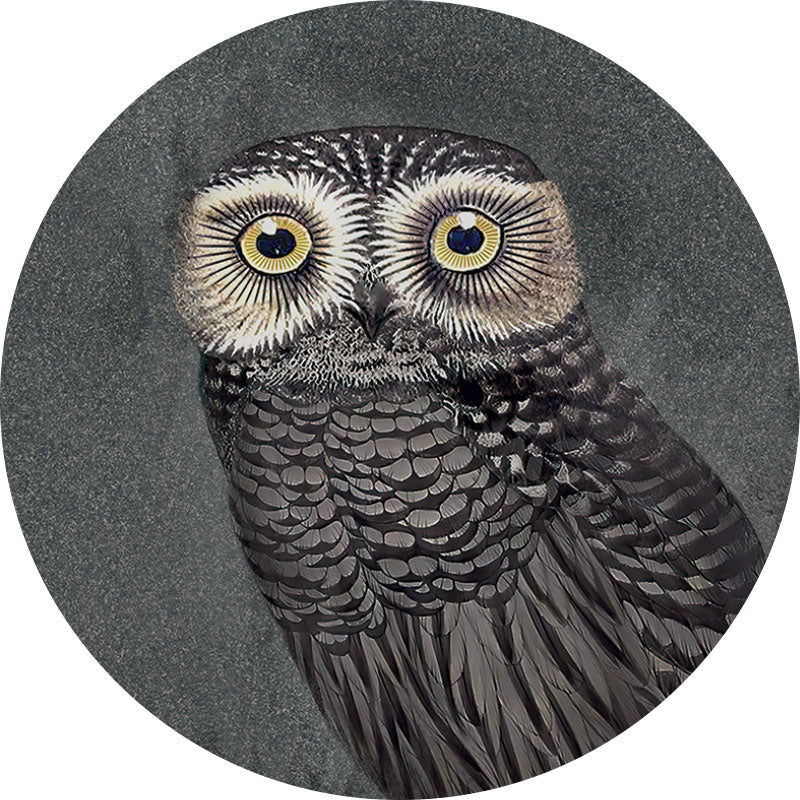 ABK Moooi Nesting Room Special Edition Hypnotic Owl (detail)