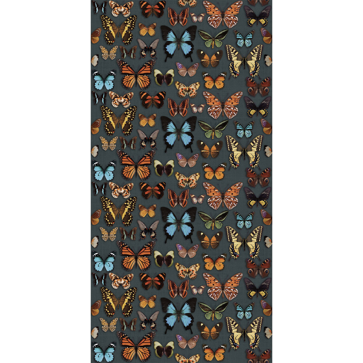 ABK Wide&Style On Demand Papillon