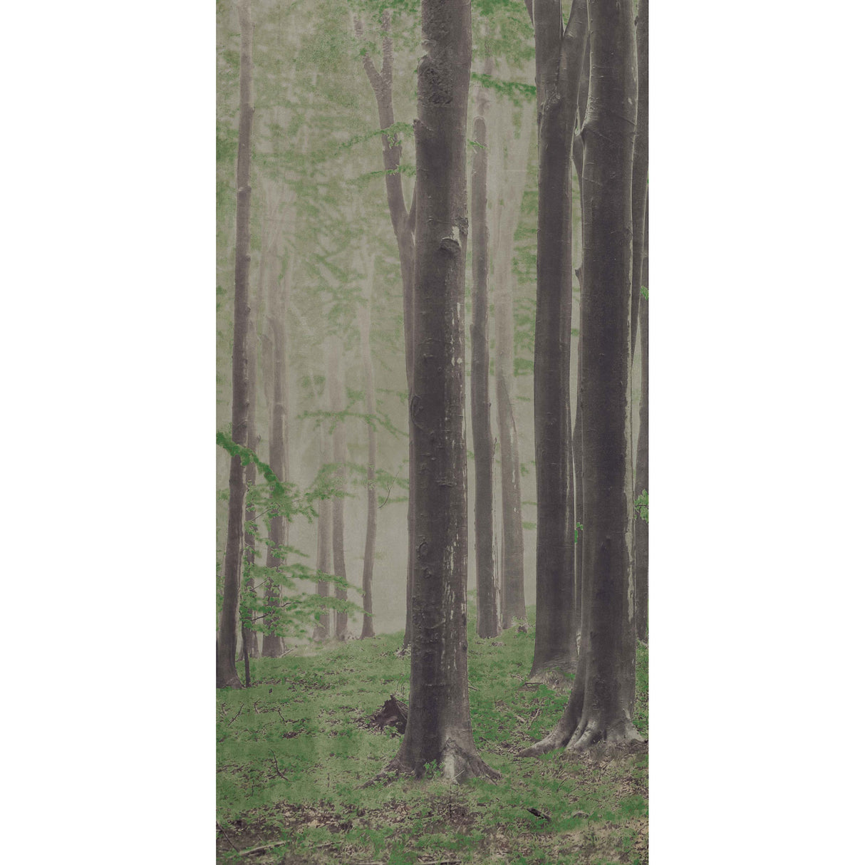On Demand Woods A