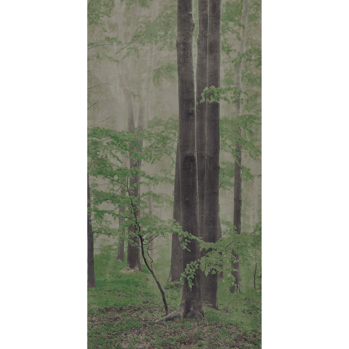 On Demand Woods C