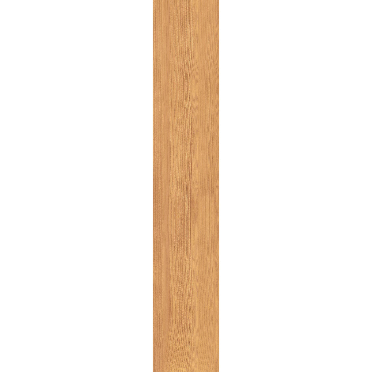 Casalgrande Project Wood Quarto Wall & Floor Tile