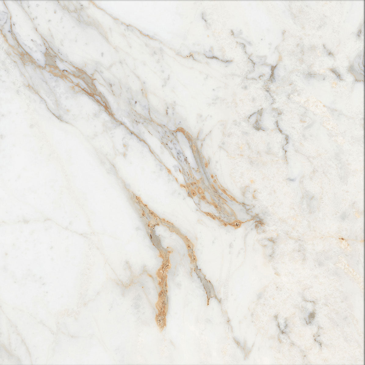 Liora White Rectified Polished Tile 60 x 60cm
