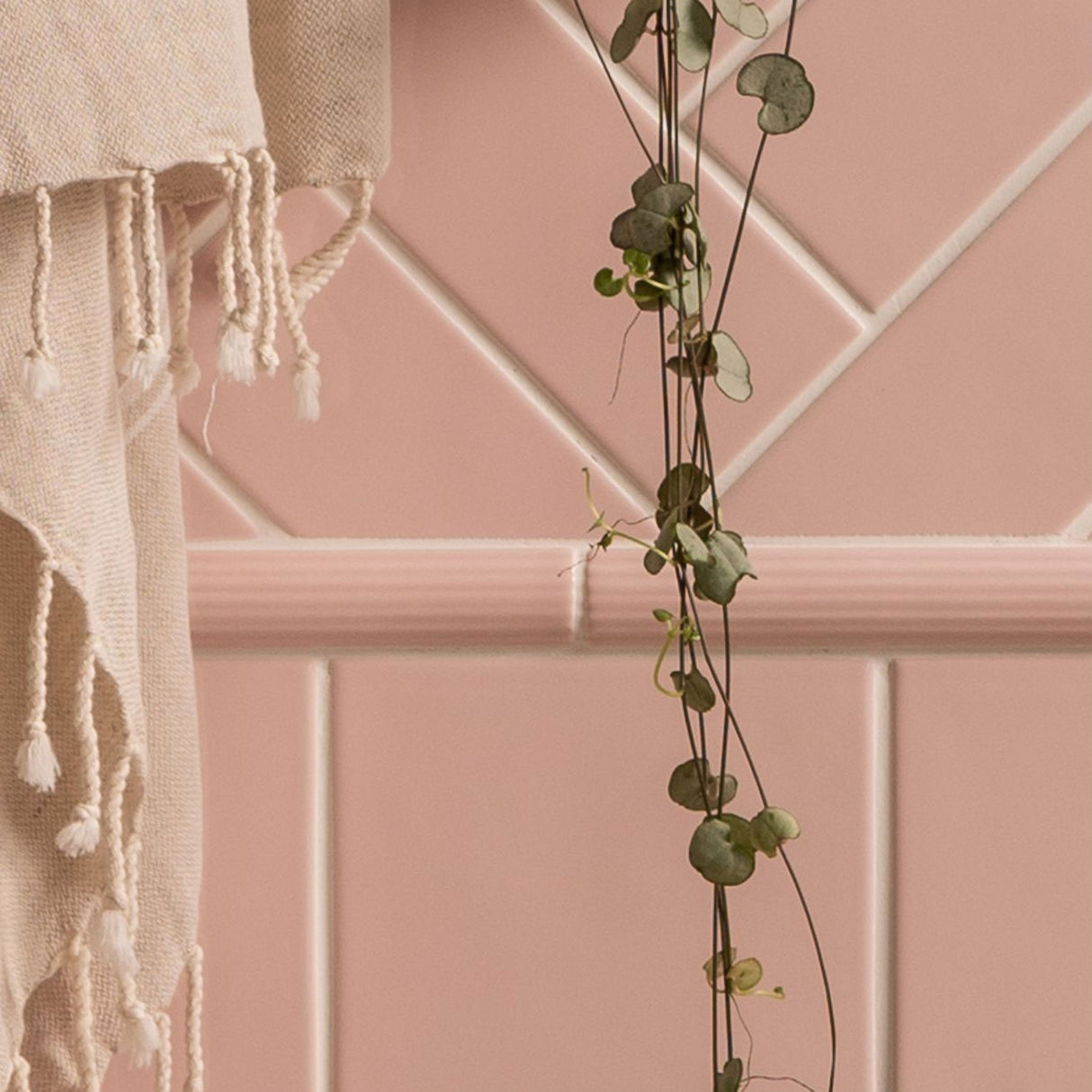 Winchester Artisan Bundled Reed Clare Decorative Mouldings