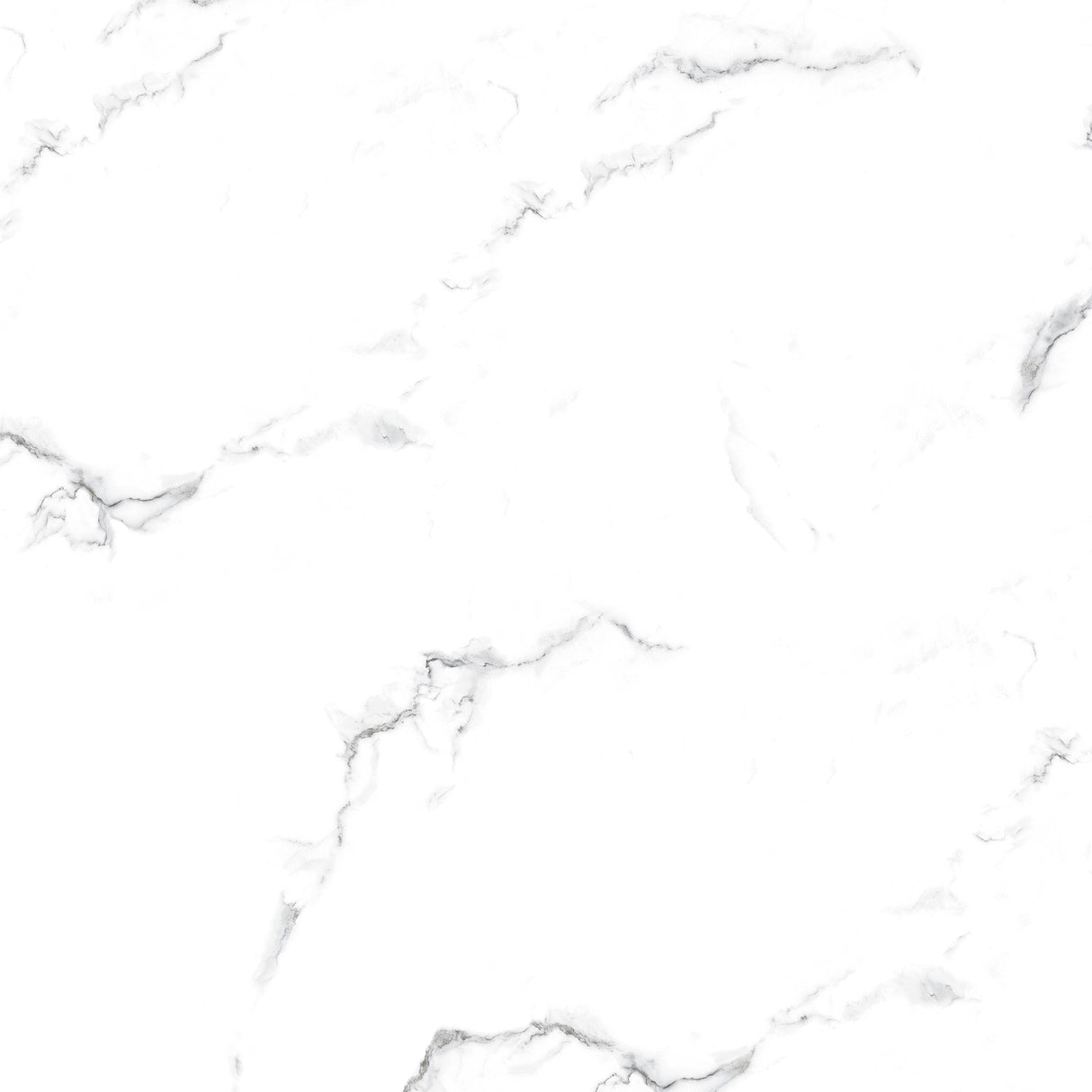 Rinthia White Polished Tile 60 x 60cm