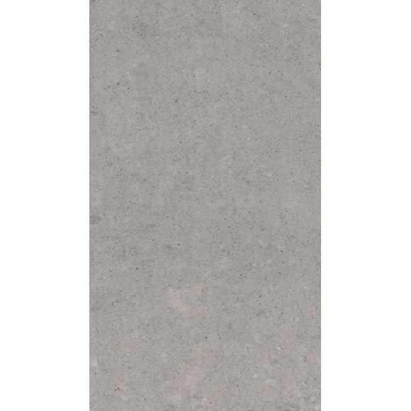 Lounge Light Grey Matt 30 x 60cm