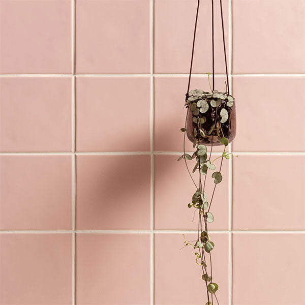 Winchester Artisan Clare Field Tiles