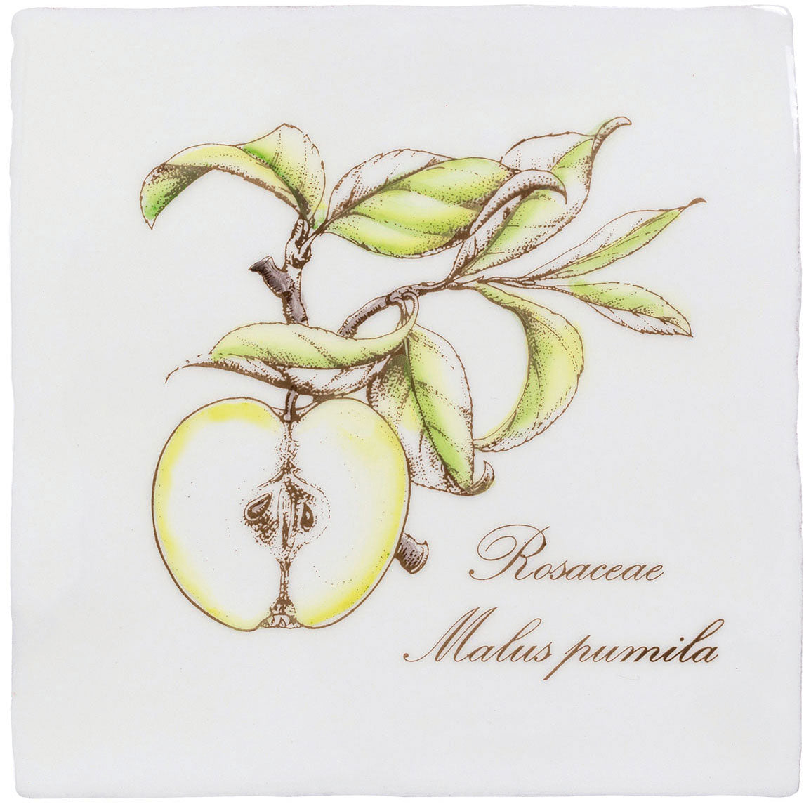 Winchester Residence Apple on Cotton Tile 13 x 13cm