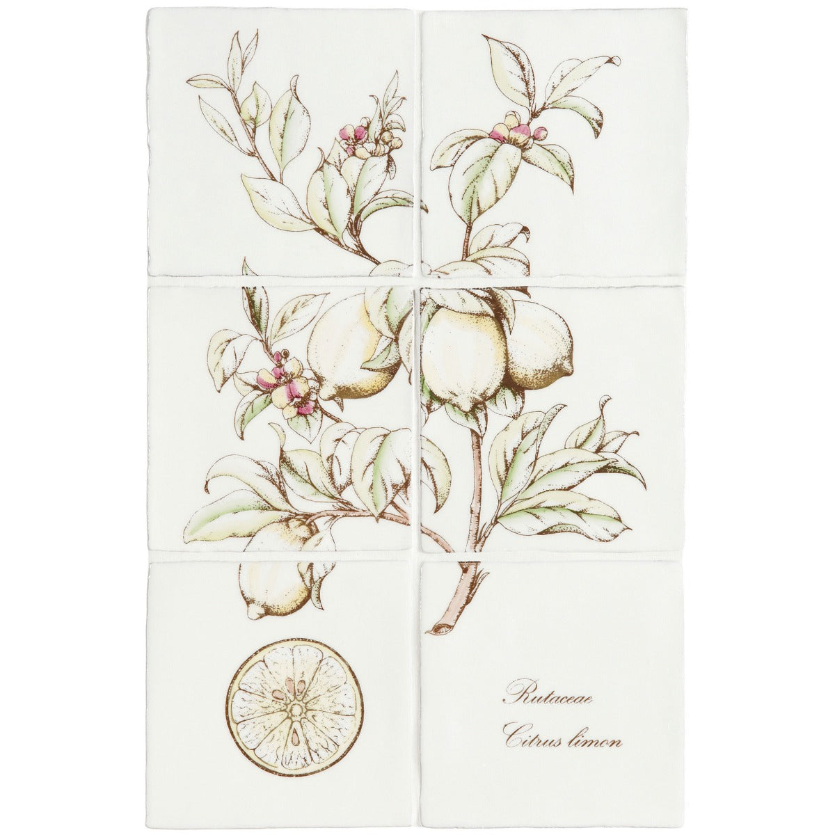 Winchester Residence Lemon 6 Tile Panel on Cotton 13 x 13cm