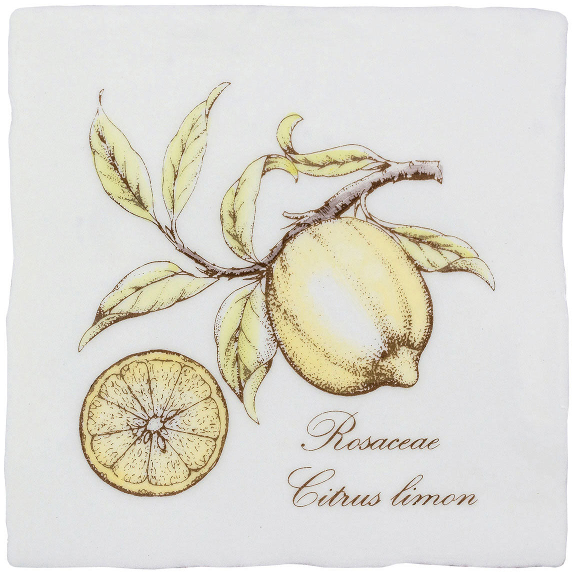 Winchester Residence Lemon on Cotton Tile 13 x 13cm