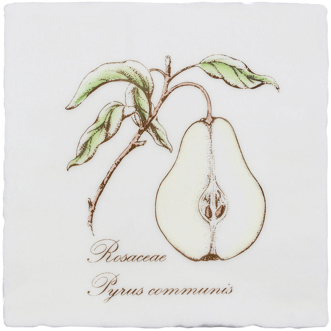 Winchester Residence Pear on Cotton Tile 13 x 13cm
