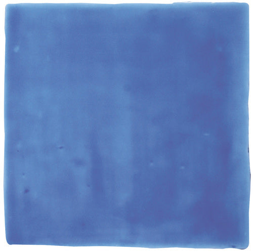 Winchester Residence Agapanthus Field Tile 13 x 13cm