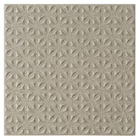 Dorset Woolliscroft Tetra