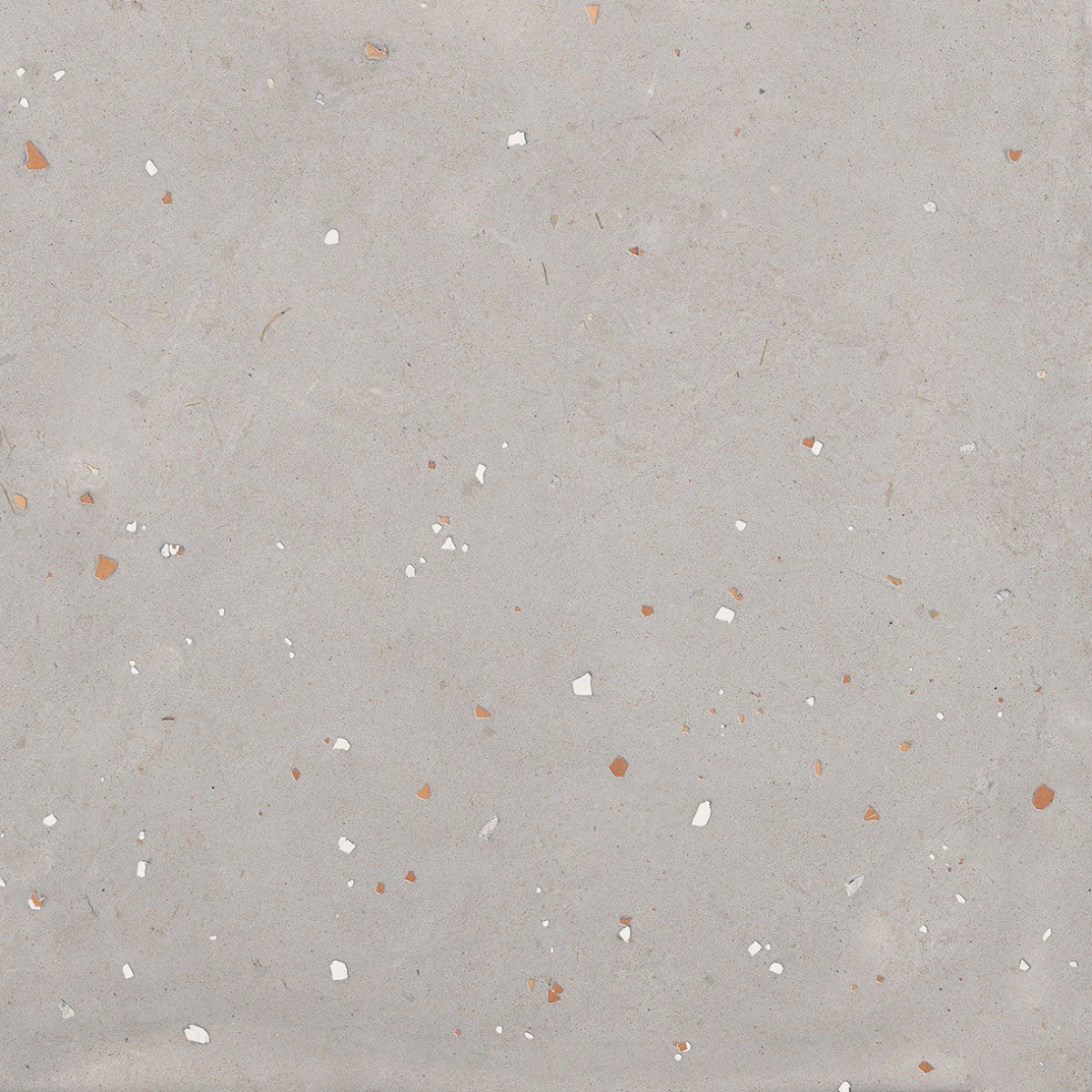 ABK Moooi Nesting Room Egg Scape Concrete Wall & Floor Tile