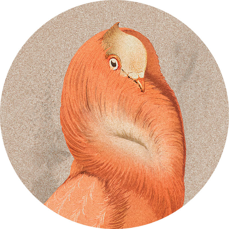 ABK Moooi Nesting Room Special Edition Cloistered Dove (detail)