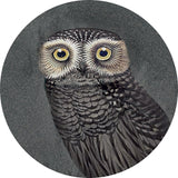 ABK Moooi Nesting Room Special Edition Hypnotic Owl (detail)