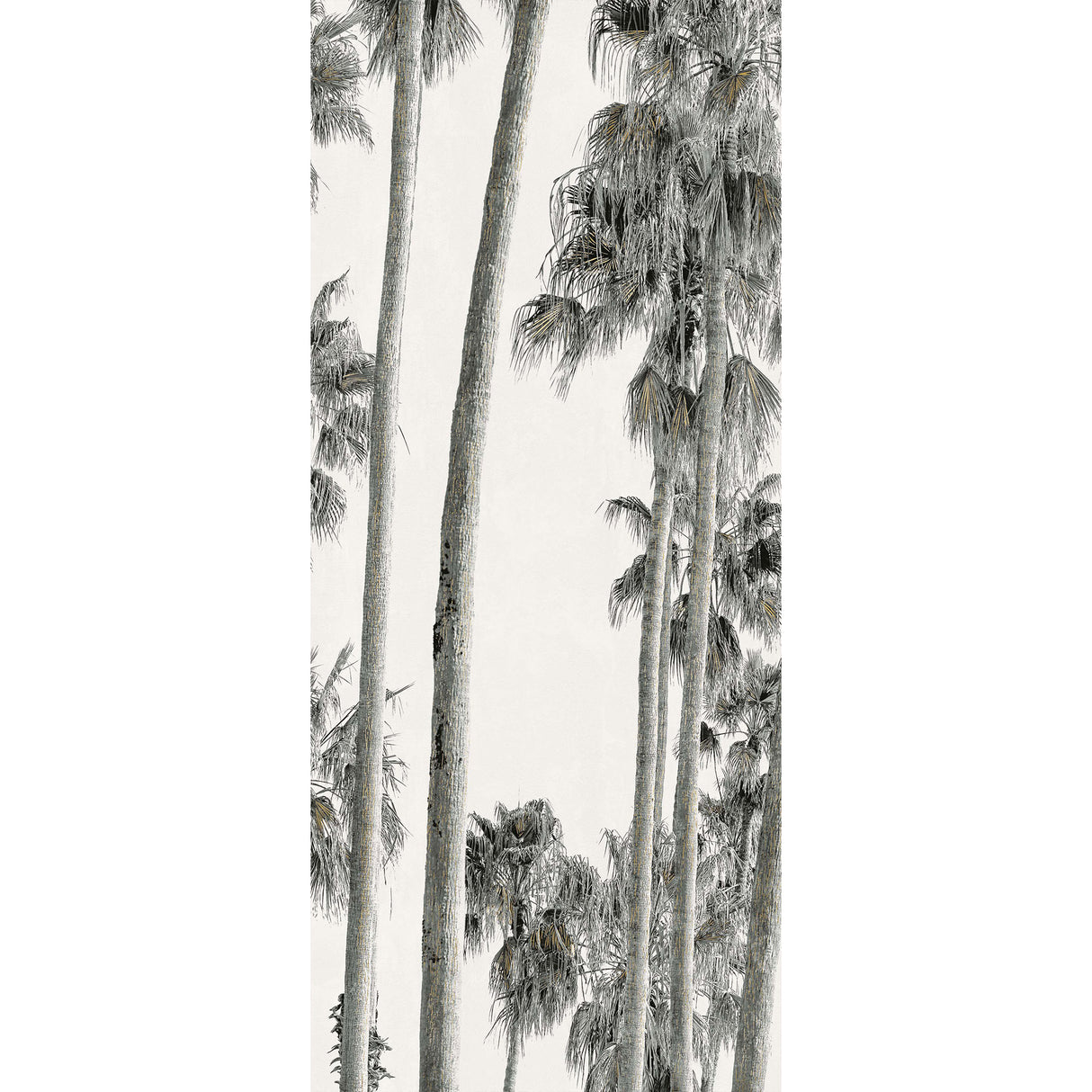 Wide&Style On Demand Hollywood A