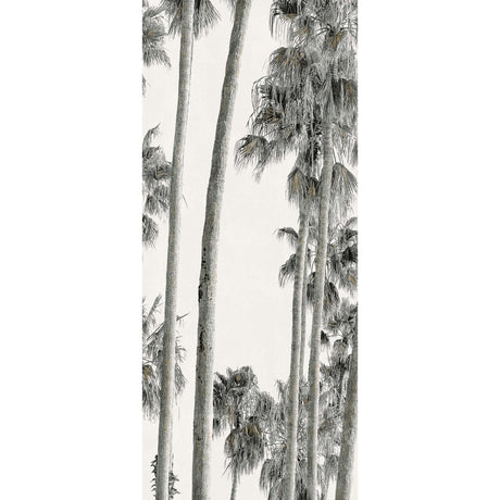 Wide&Style On Demand Hollywood A