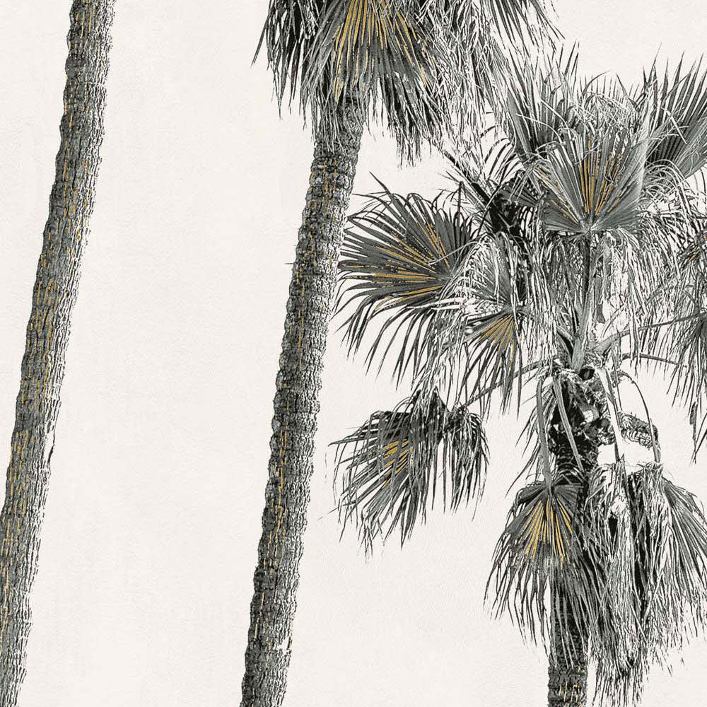 Wide&Style On Demand Hollywood (detail)