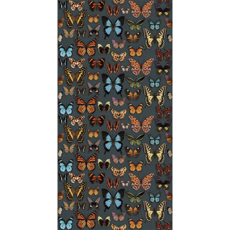 ABK Wide&Style On Demand Papillon