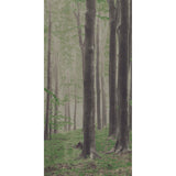 On Demand Woods A