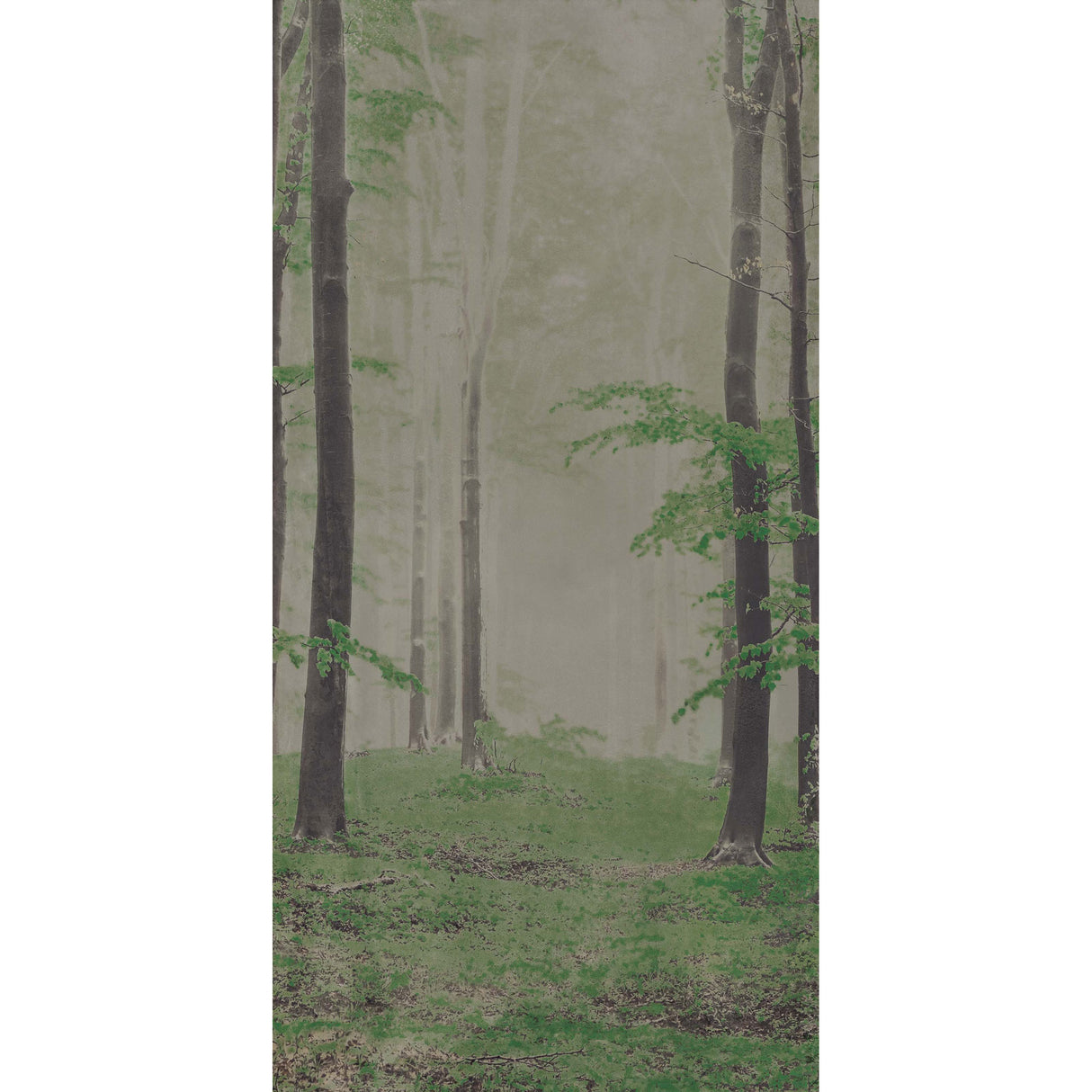 On Demand Woods B