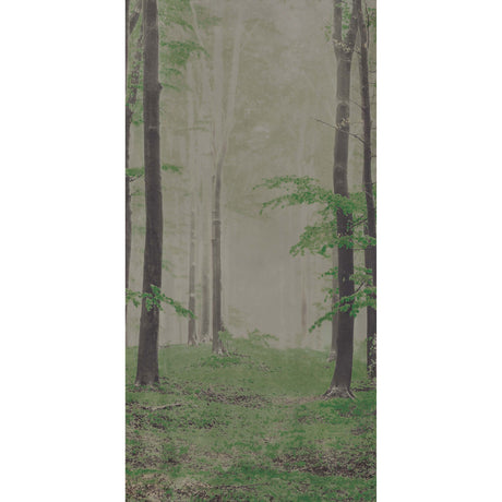 On Demand Woods B