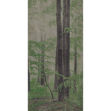 On Demand Woods C