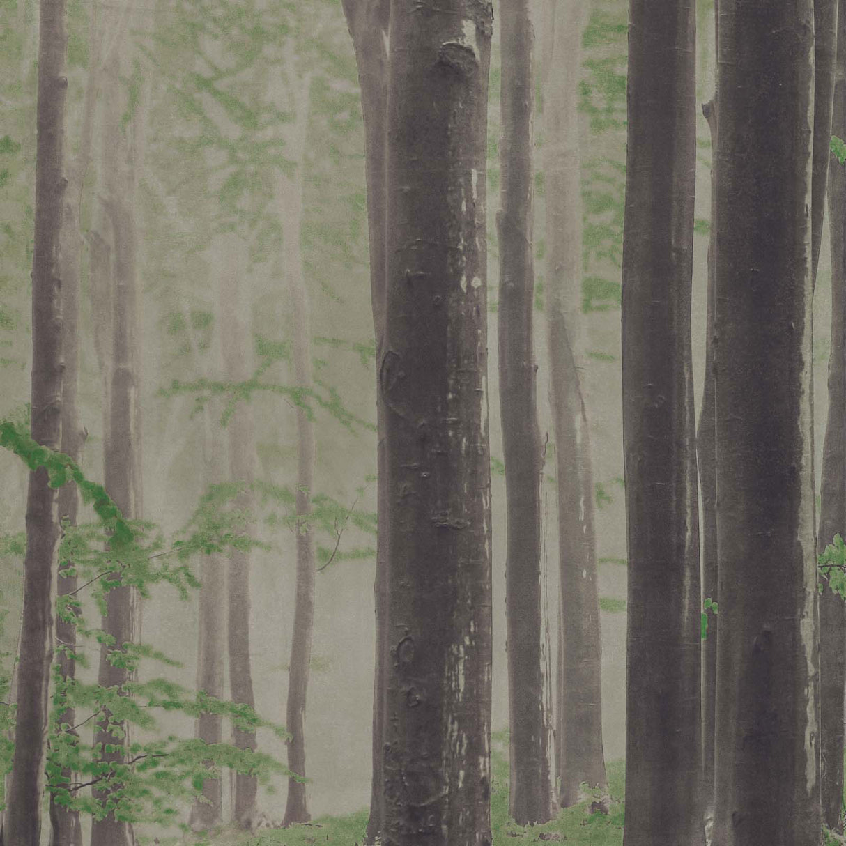 ABK Wide&Style On Demand Woods (detail)