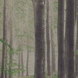 ABK Wide&Style On Demand Woods (detail)