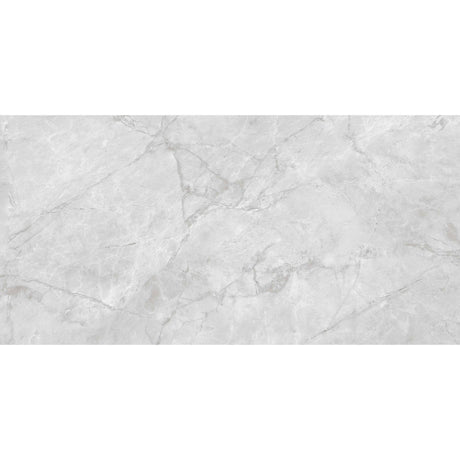 Allegro Light Grey Polished Tile 30 x 60cm