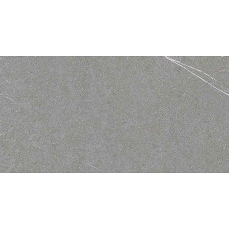 Avela Grey Matt Ceramic Wall Tile 30 x 60cm