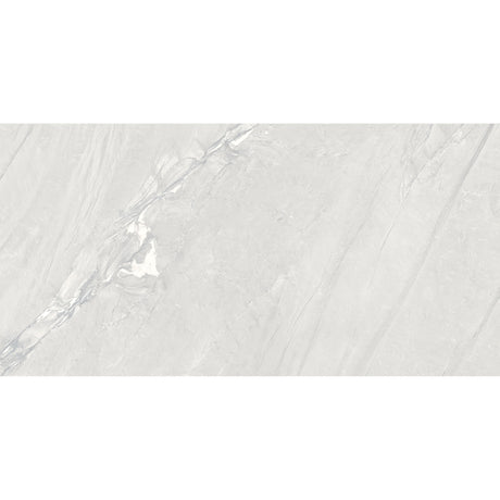 Bellini Silver Rectified Matt Tile 60 x 120cm