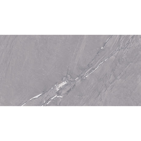 Bellini Silver Rectified Matt Tile 60 x 120cm