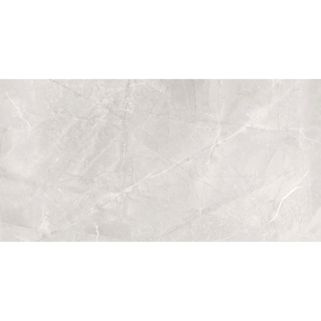Canyon Elegant Silver Gloss Wall Tile 30 x 60cm