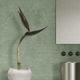 Casalgrande Concept Cannetè Green Wall Tiles