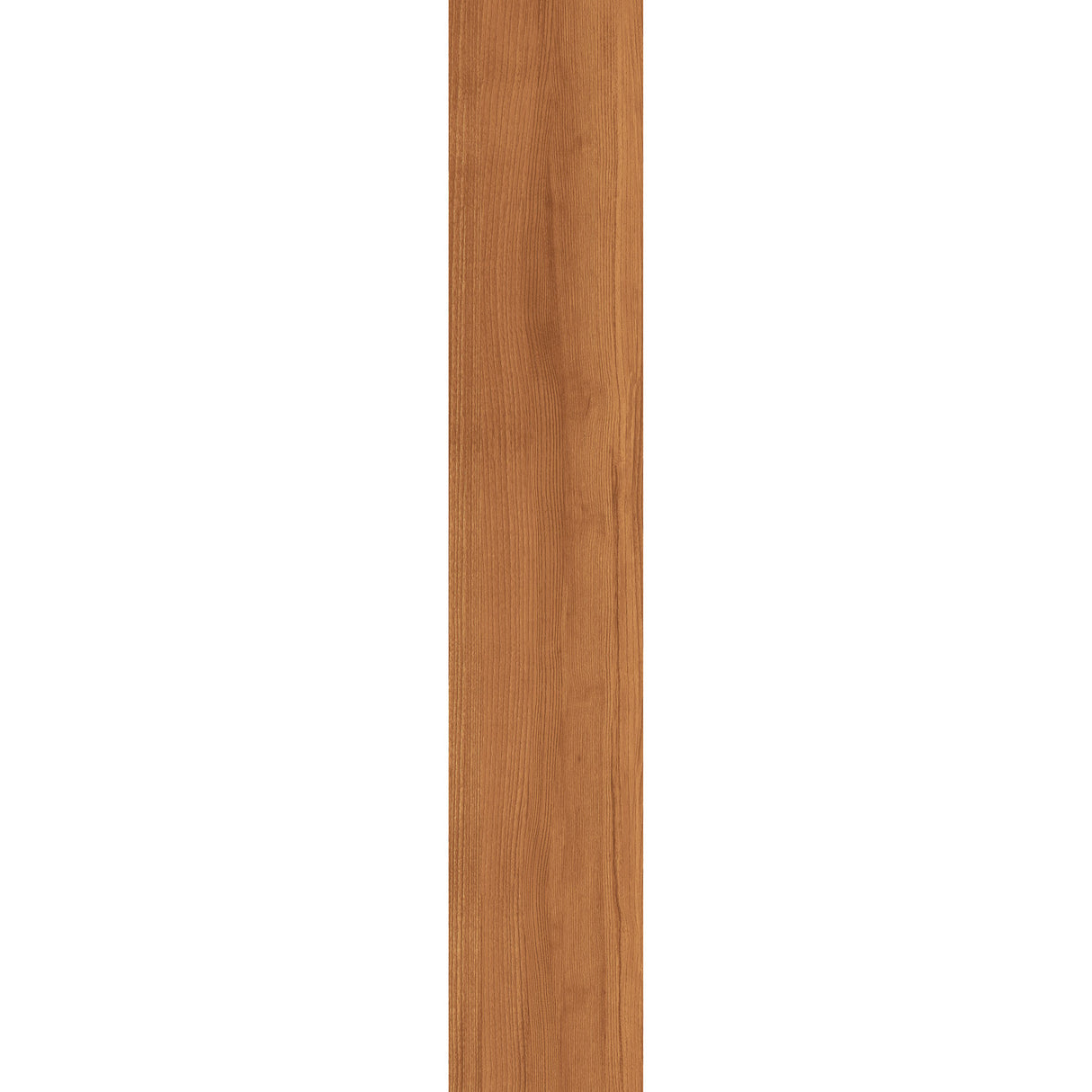 Casalgrande Project Wood Pollino Wall & Floor Tile