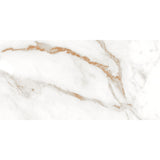 Ciela Brown Matt Tile 30 x 60cm