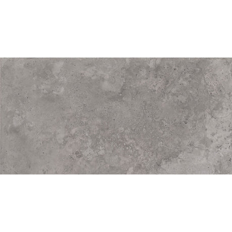 Delphi Grey Gloss Wall Tile 30 x 60cm