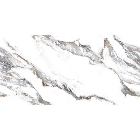 Eterna Grey Polished Tile 60 x 120cm