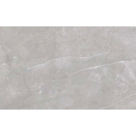 Evara Gris Matt Ceramic Wall Tile 33.3 x 55cm