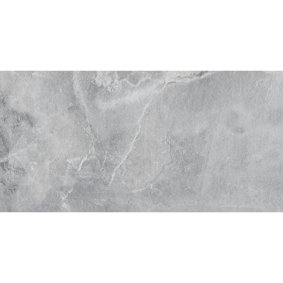Fossil Silver Matt Tile 30 x 60cm