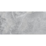 Fossil Silver Matt Tile 30 x 60cm