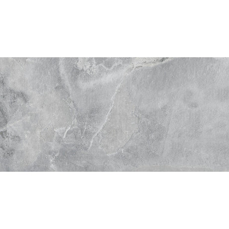 Fossil Silver Matt Tile 30 x 60cm