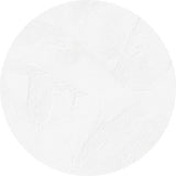 Grespania Surface Blanco (detail)