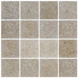 IS Siva Noce Tumbled Travertine tiles