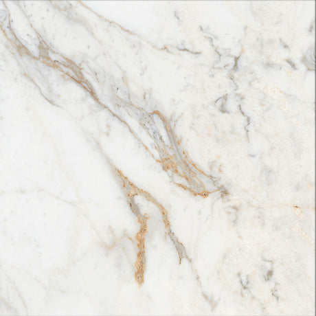 Liora White Rectified Polished Tile 60 x 60cm