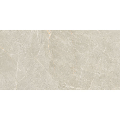 Lorano Silver Matt Tile 29.5 x 60cm