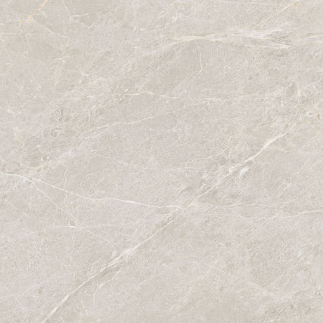 Lorano Silver Matt Tile 60 x 60cm