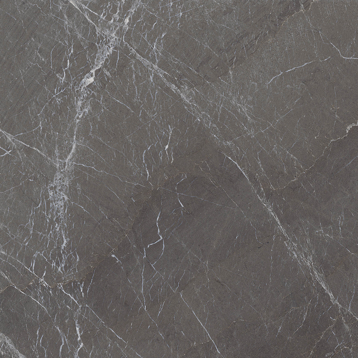 Stolela Anthracite Polished Tile 60 x 60cm