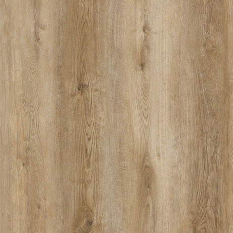 Tabo Light Oak Matt SPC Click Vinyl